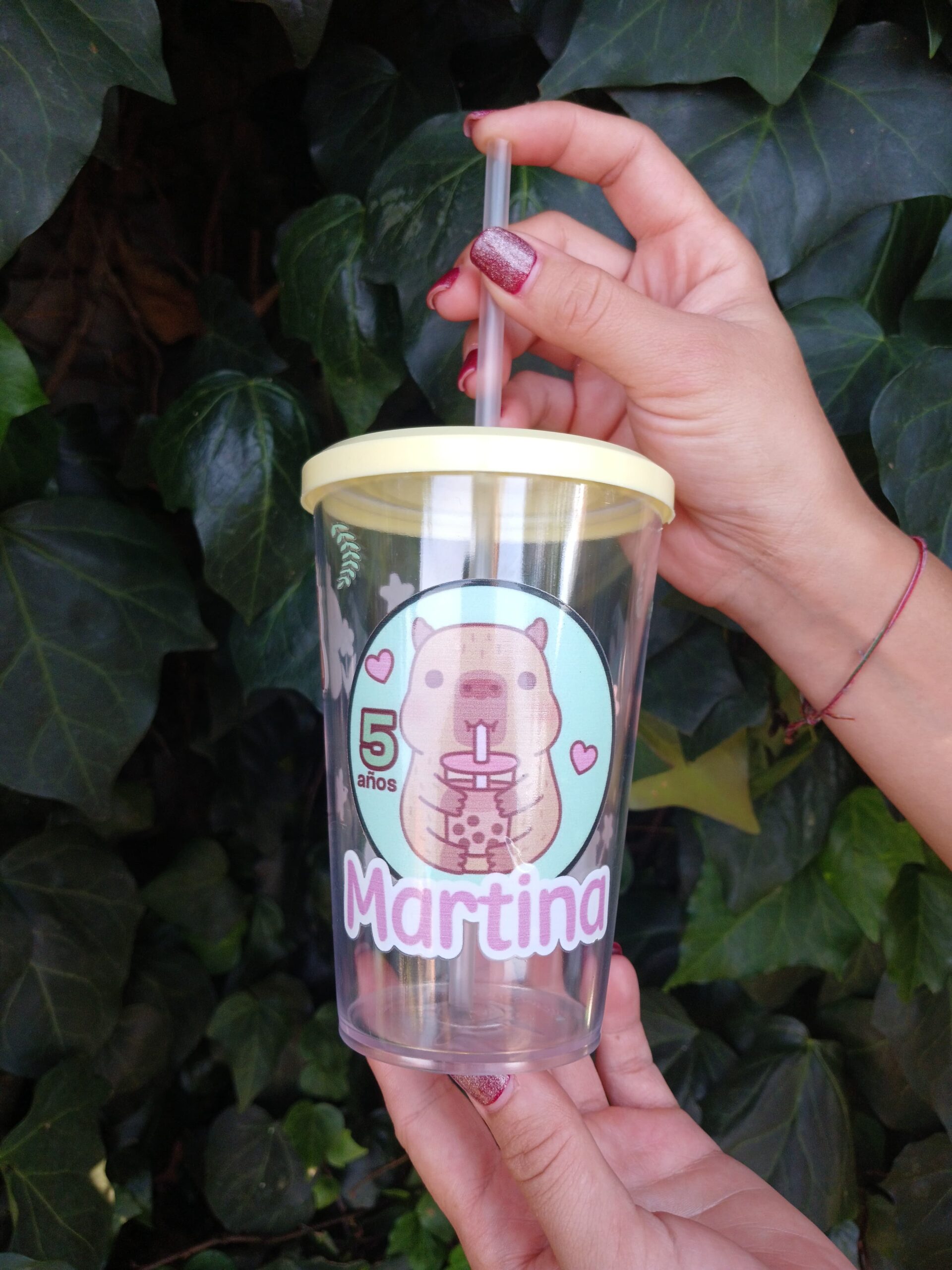 Vaso Acrilico Capybara